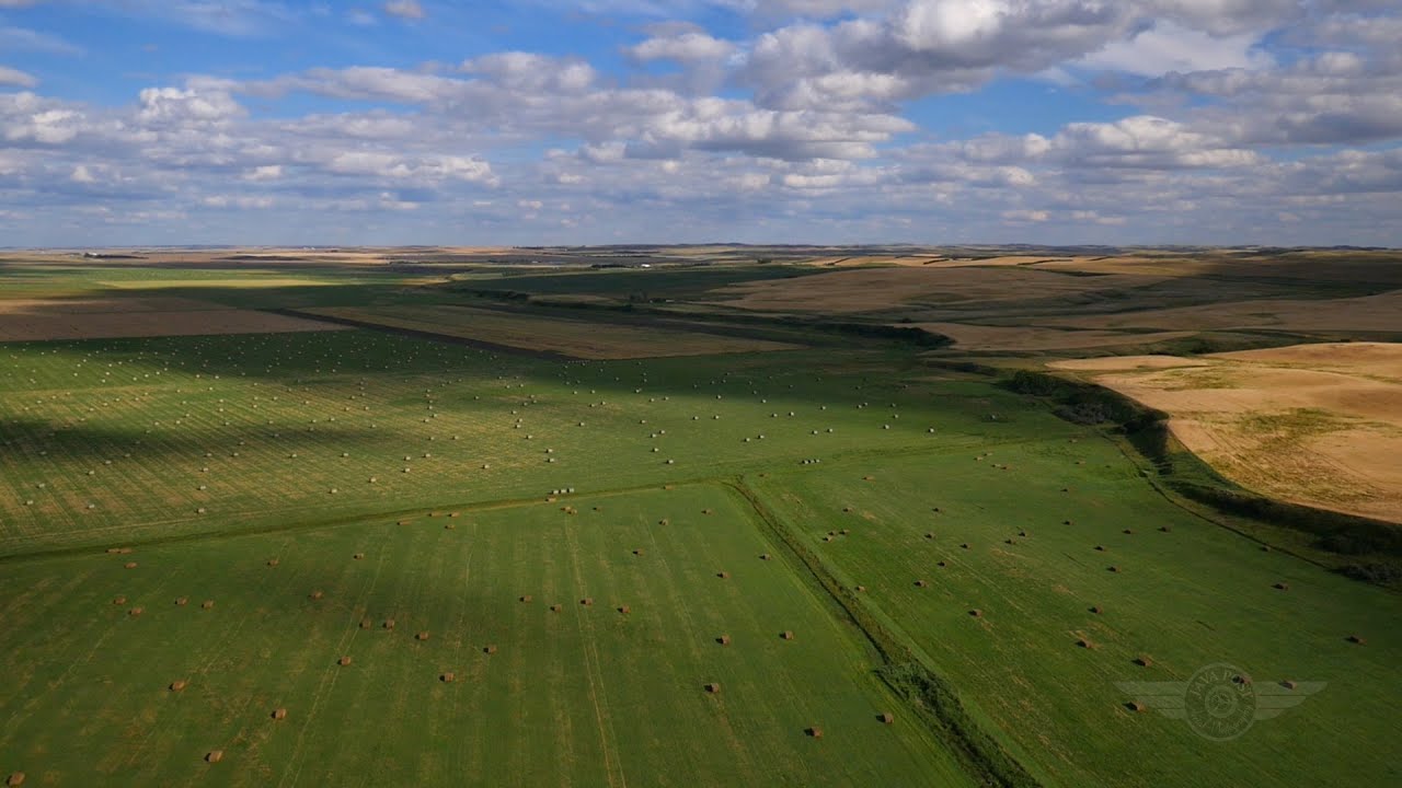 Grasslands and prairies