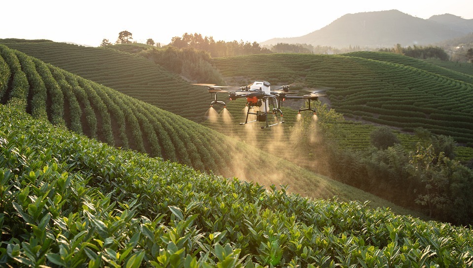 How are Drones Helping Farmers