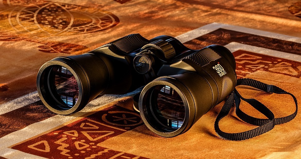 How to Choose the Best Survival Hunting Binoculars