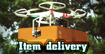 Item-delivery-Drone