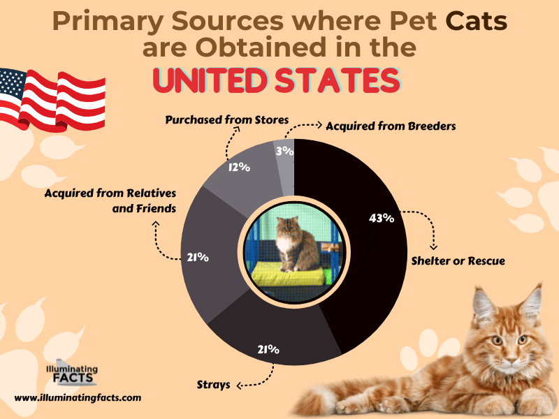 Primary Sources where Pet Cats are Obtained in the United States