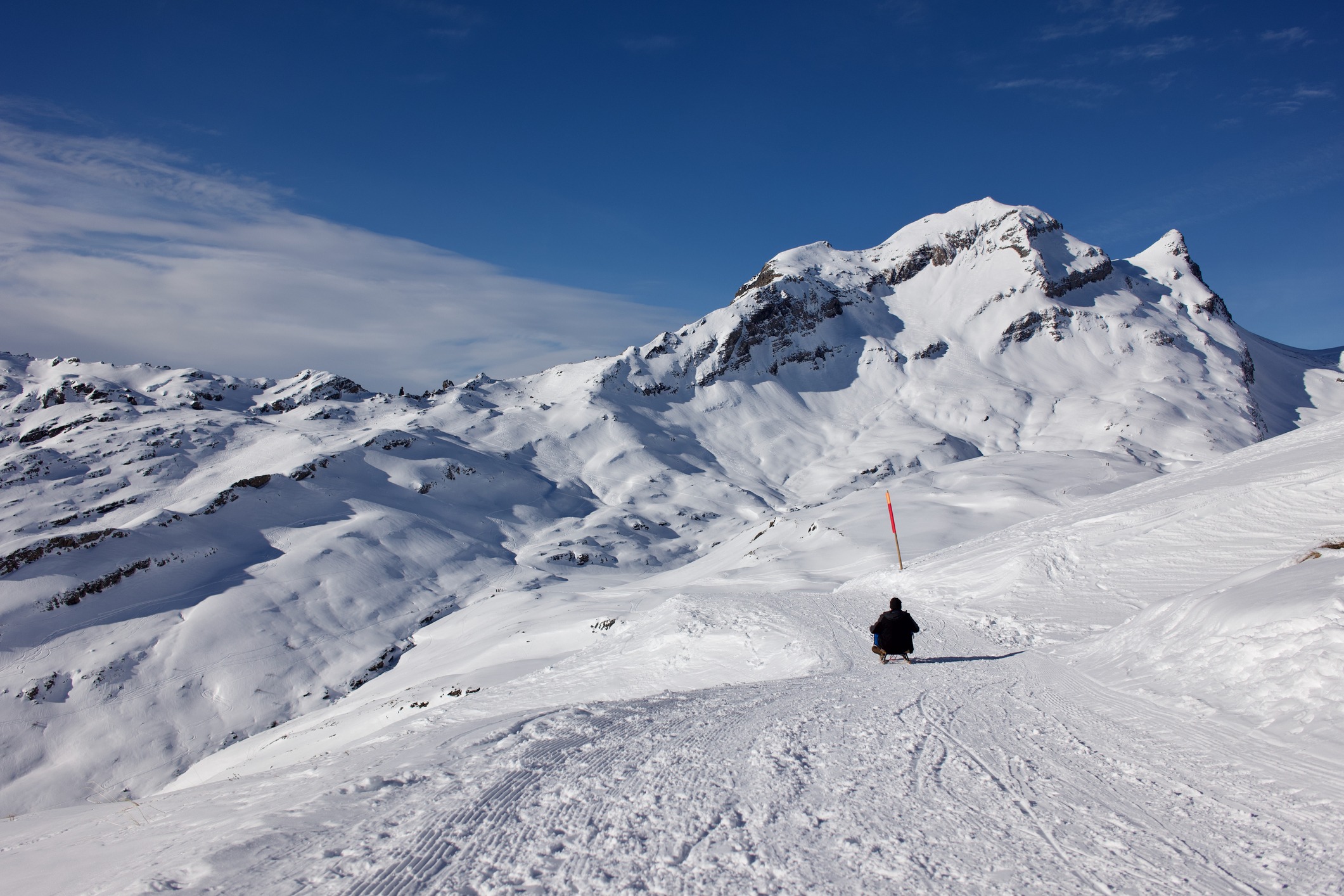 Sledding in First, Grindelwald of the Swiss Alps