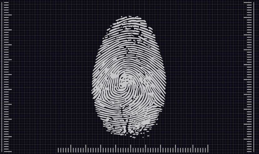 unique-fingerprint