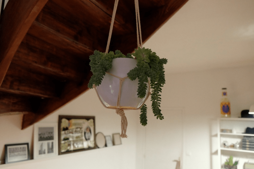 Plant-Rope-Pot-Holders