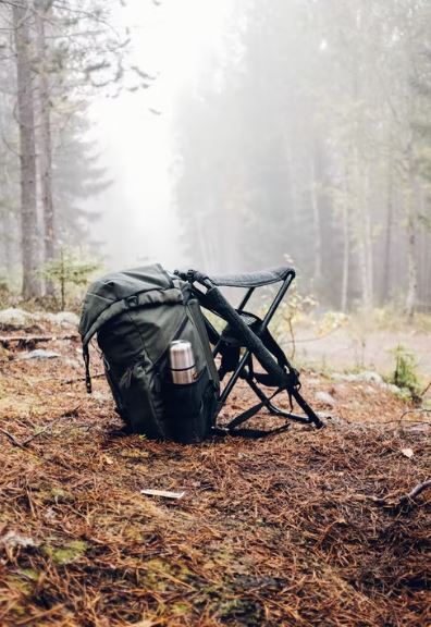 Sweden-Tree-Images-Pictures-Backpack