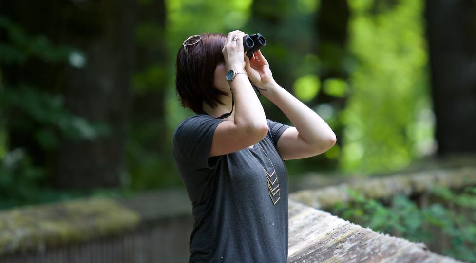 Binoculars, Female, Eye Images, Outside, Aunt, Hiking, Nature Reserve, Looking, Searching, Outdoors, Woodland, Bird Watching