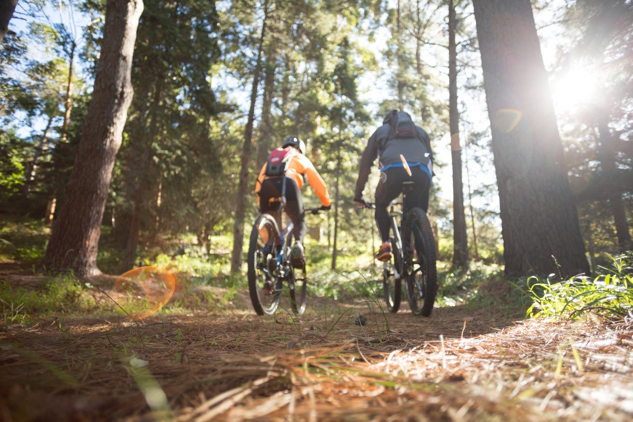 a biker couple riding mountain bike in the forest