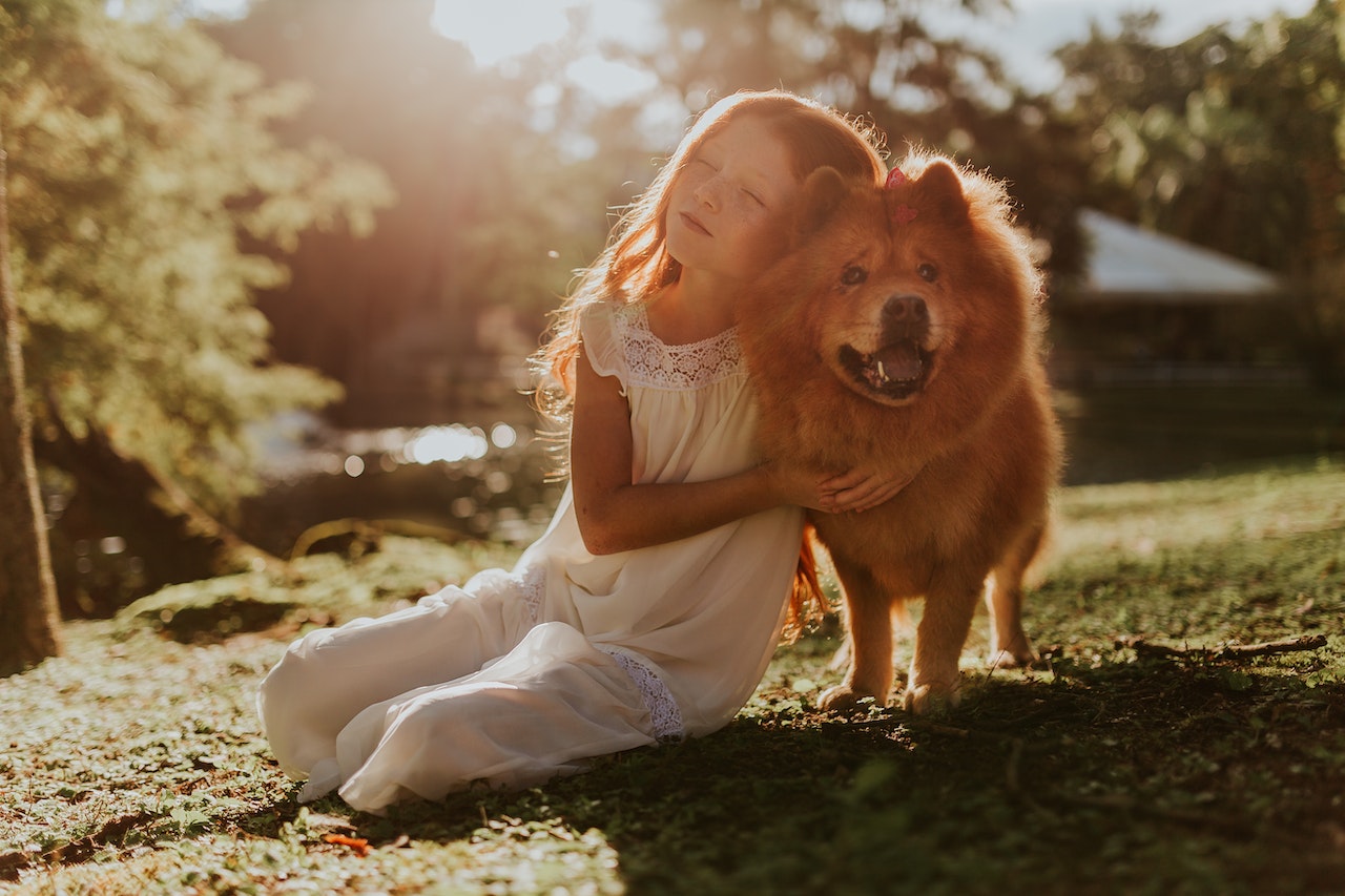 girl hugging adult chowchow sitting on grass field