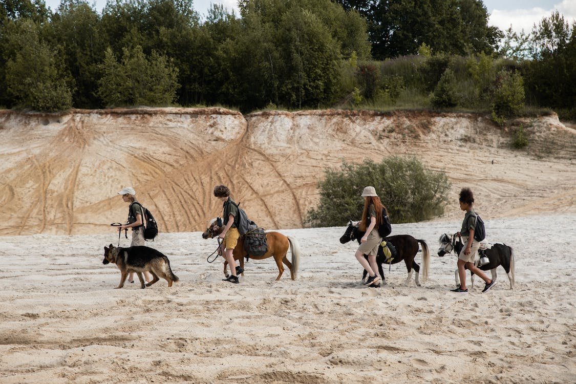 girls walking on a beach with horses and a dog