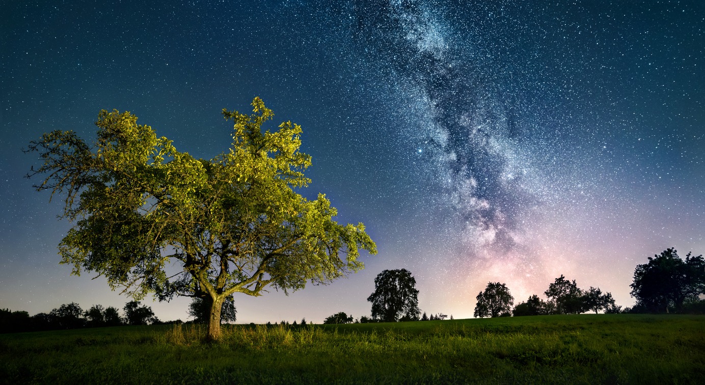 a night landscape with a lit tree and the Milky Way