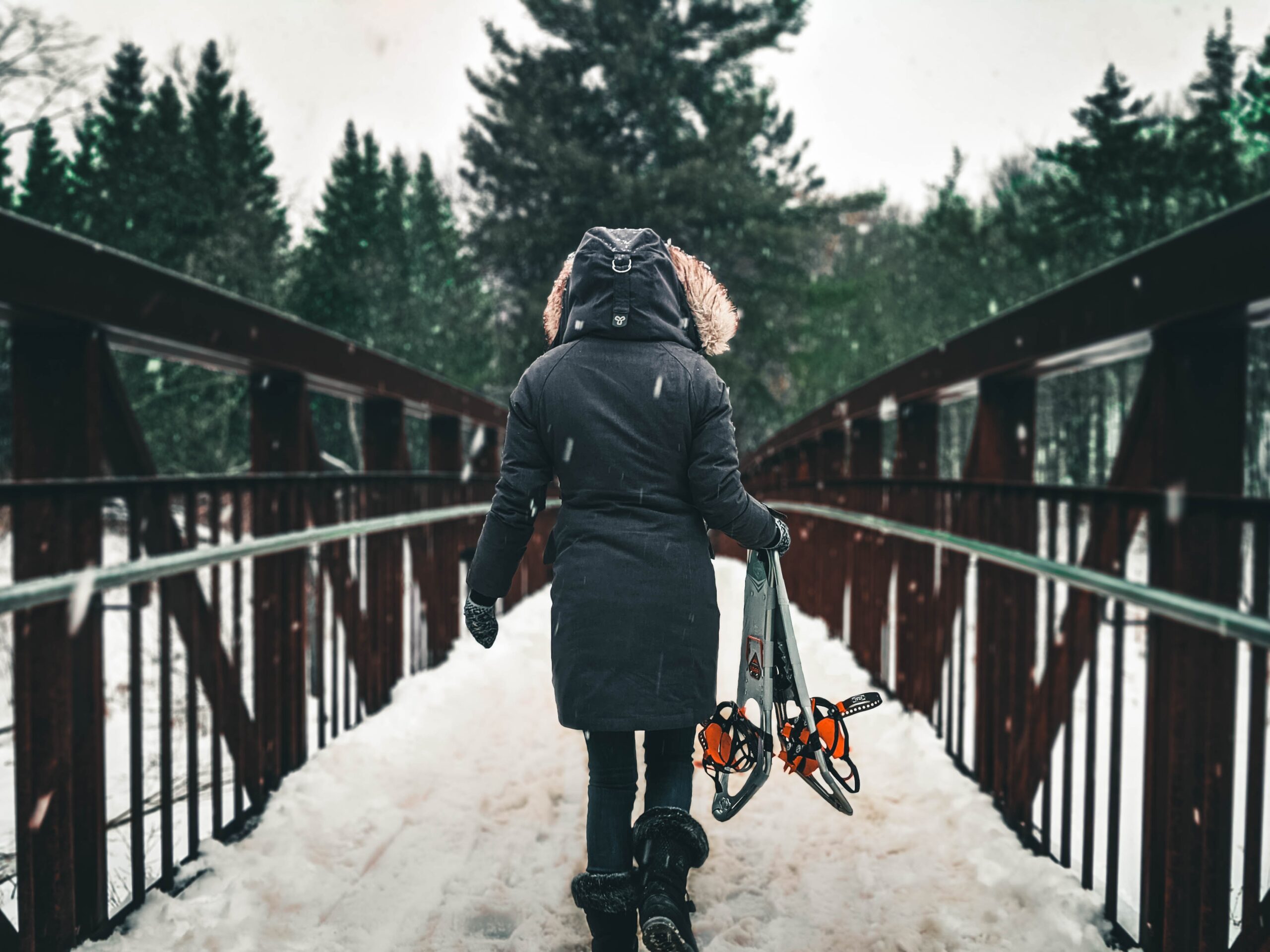 winter images & pictures, apparel, clothing, human, vehicle, bike, bicycle, transportation, coat, tree images & pictures, pants, overcoat, ice, building, boardwalk, HD wood wallpapers, creative common images
