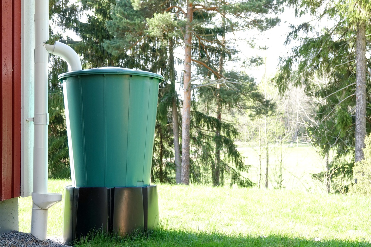 a-large-plastic-barrel-that-collects-rainwater
