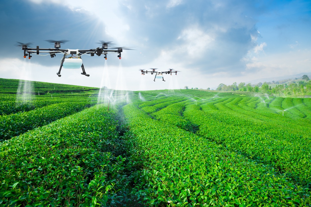 Agriculture drone spraying fertilizer on the field