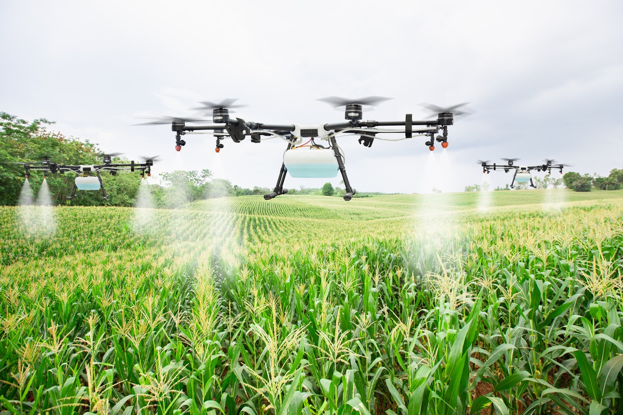 An agriculture drone spraying fertilizer to a corn field