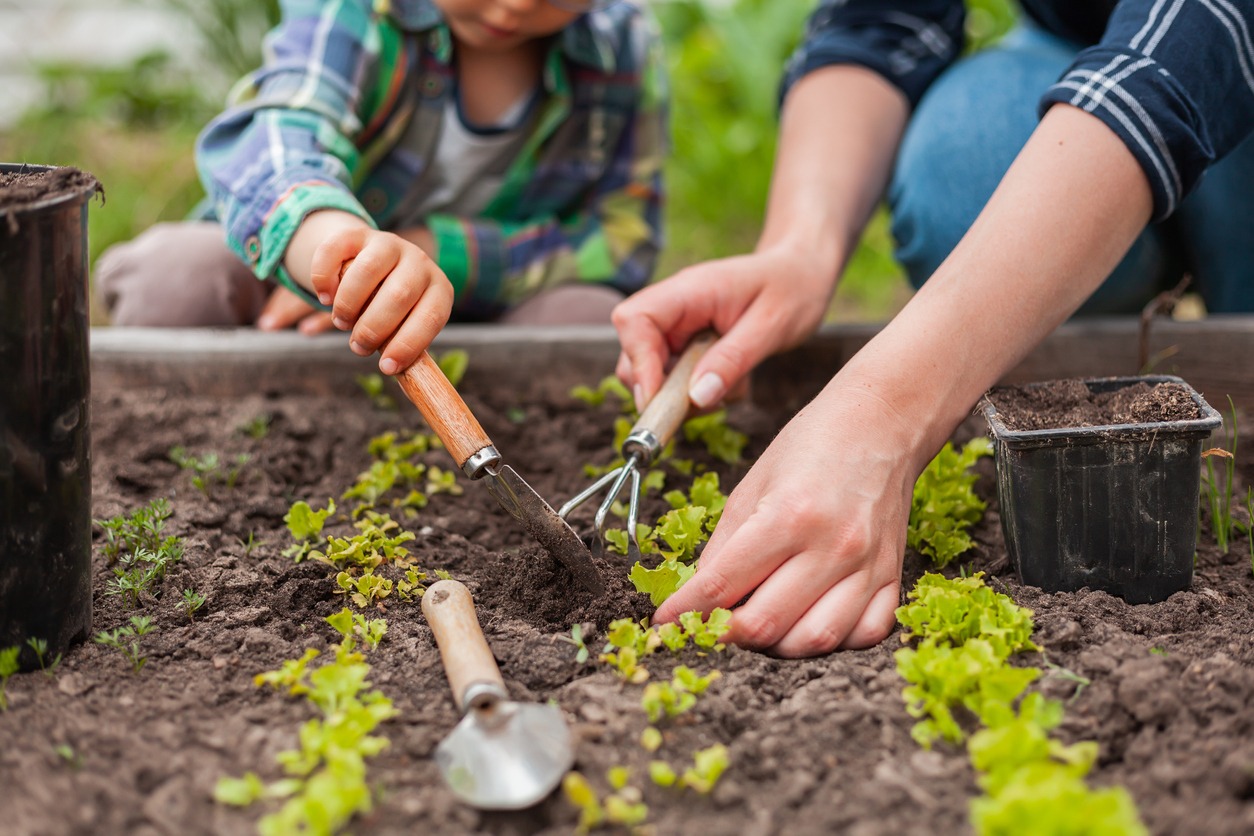 child-and-mother-gardening-in-vegetable-garden-in-backyard