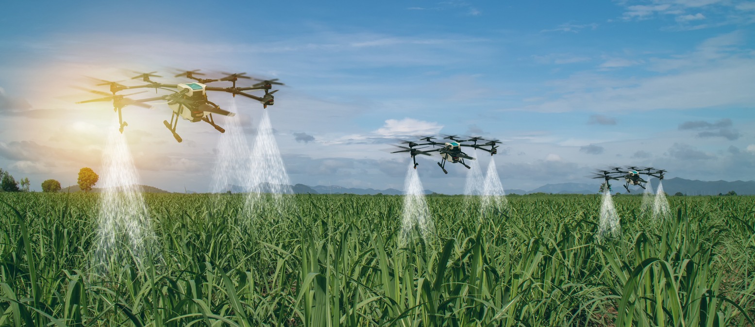 Drones being used or spraying water on a farm