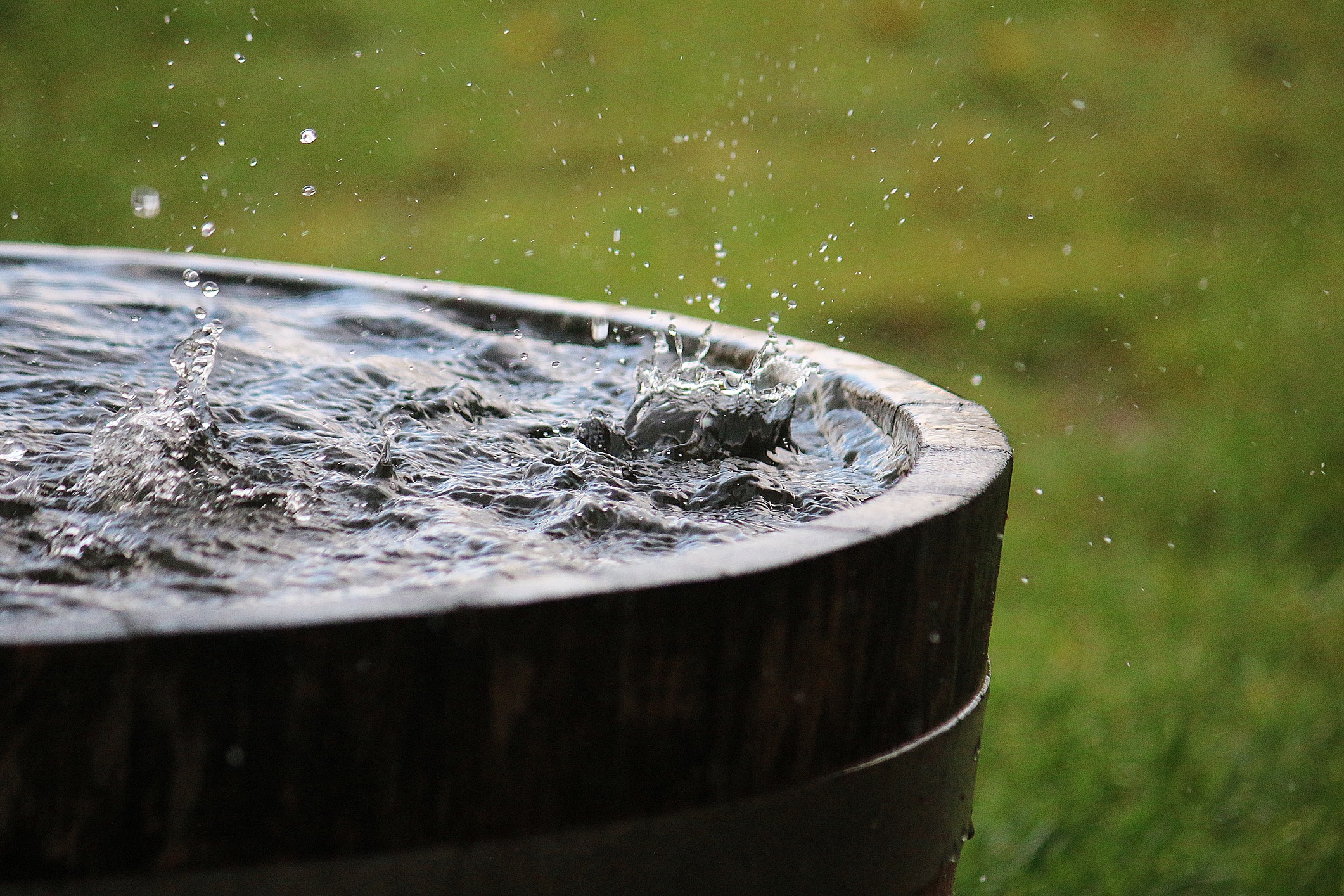 rain-is-falling-in-a-wooden-barrel-full-of-water-in-the-garden