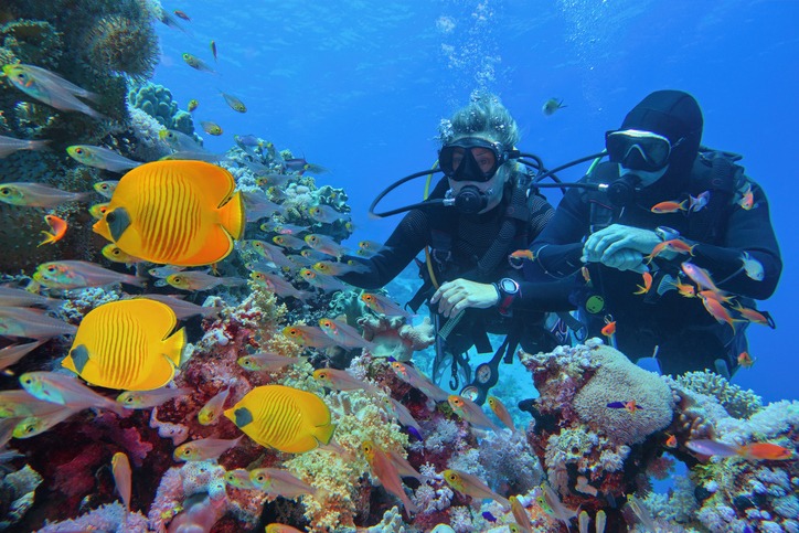 scuba-divers-couple-near-beautiful-coral-reef-surrounded-with-shoal-of-coral-fish