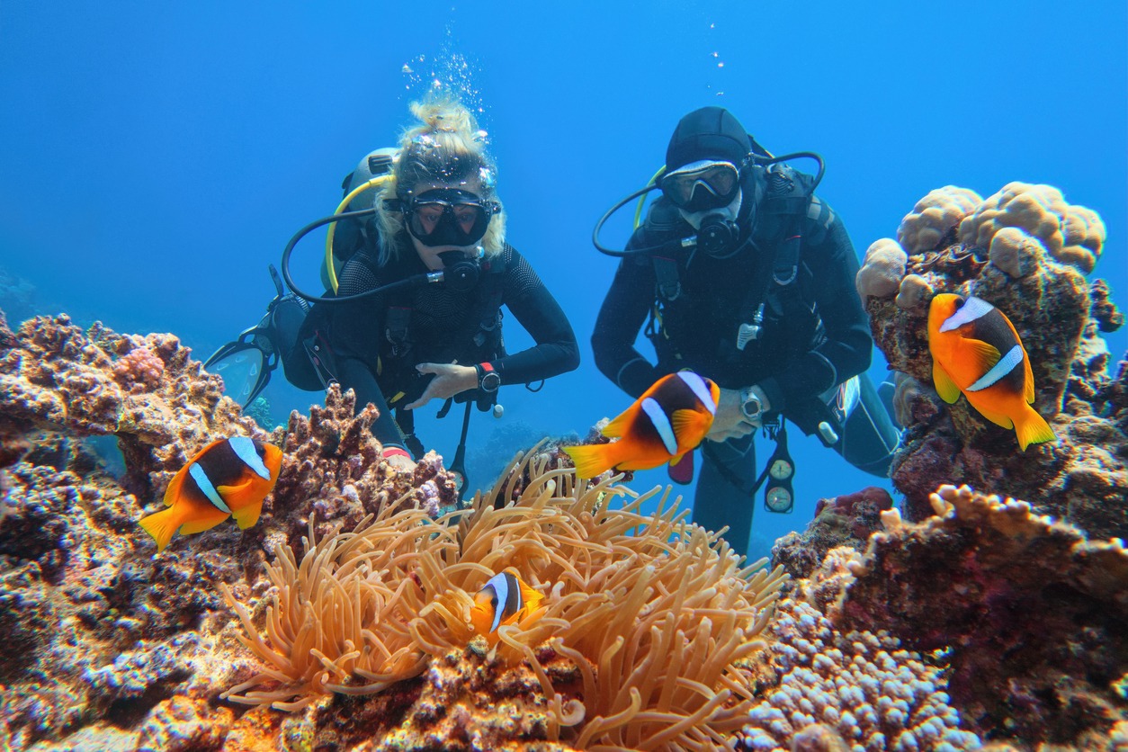 scuba-divers-couple-near-beautiful-coral-reef-watching-sea-anemone-and-family