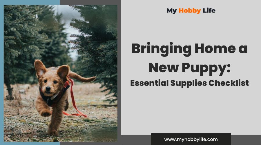 Bringing Home a New Puppy Essential Supplies Checklist