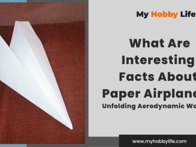 What Are Interesting Facts About Paper Airplanes? Unfolding Aerodynamic Wonders